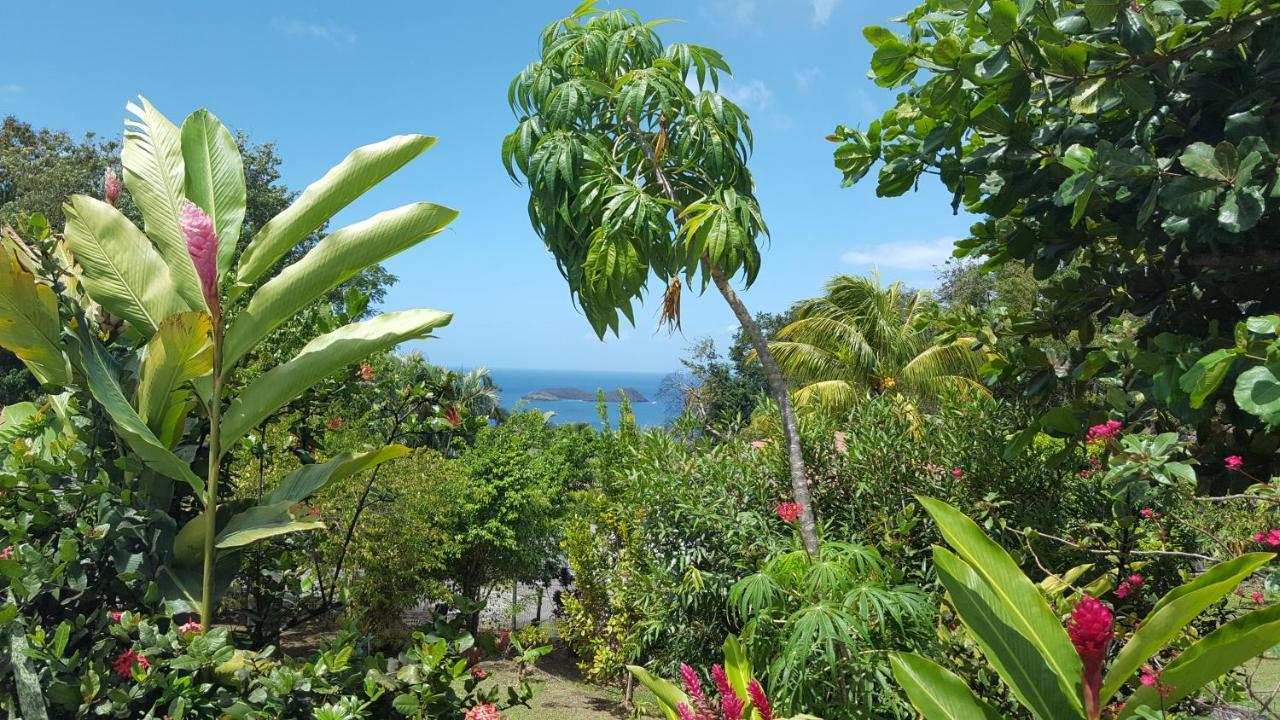 Vacances Bien Etre Guadeloupe Bouillante Esterno foto