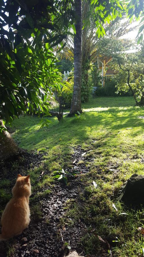 Vacances Bien Etre Guadeloupe Bouillante Esterno foto
