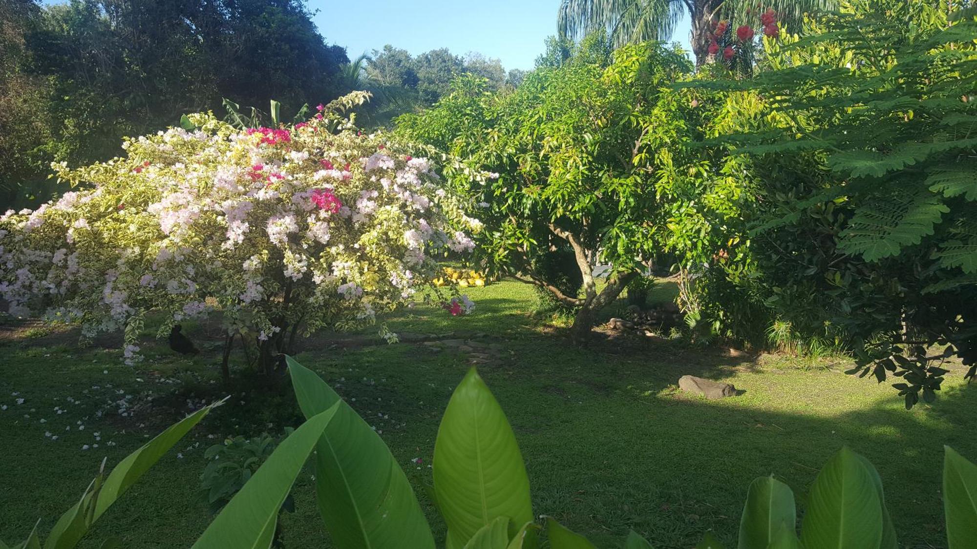 Vacances Bien Etre Guadeloupe Bouillante Esterno foto