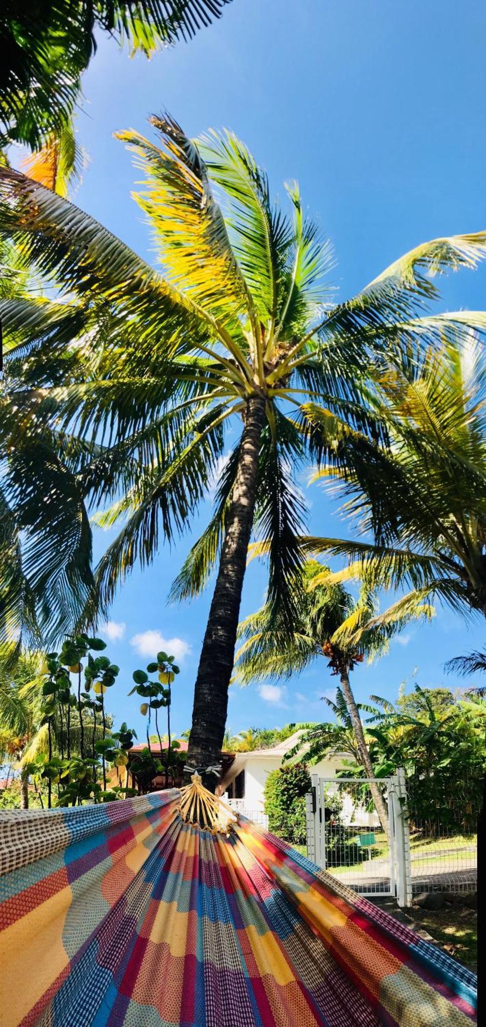 Vacances Bien Etre Guadeloupe Bouillante Esterno foto